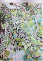 Contorted Hazel watercolour