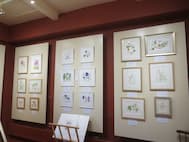 Heather's pictures on display at Parham Exhibition 2025