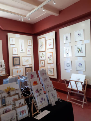 Heather's pictures on display at Parham Exhibition 2024