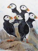 Puffins