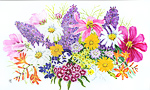 Summer wild flowers, watercolour painting